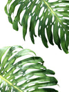 Œuvre d’art murale Giant Art « Double Philodendron (color) » 72 x 54