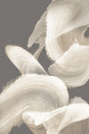 Œuvre d’art murale Giant Art « Evolution Of White » 84 x 54